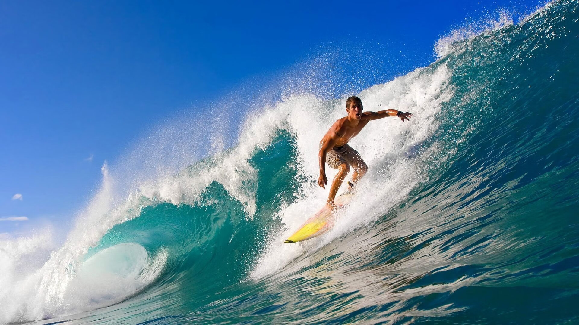 爱游戏电脑版官网-德甲冠军争夺：豪强决斗的焦点已聚集，德甲榜首大战